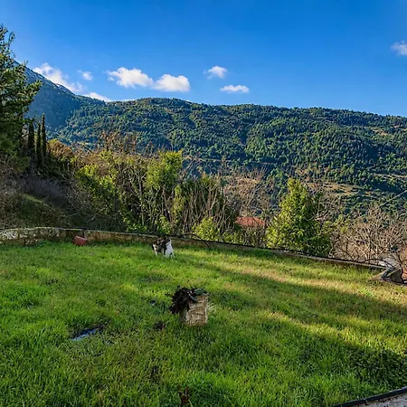 Helmos View - Relaxation & Nature Hébergement de vacances