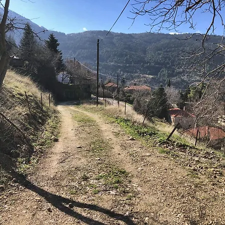 Helmos View - Relaxation & Nature * Valimi